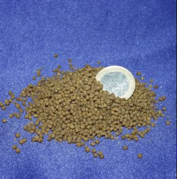 Soft Perls die Ducky Perls von Aquakultur Genzel als perfekter Frostfutterersatz für Zierfische Soft Perls die Ducky Perls von Aquakultur Genzel als perfekter Frostfutterersatz für Zierfische