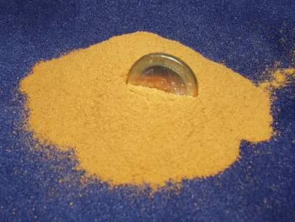 geschälte Artemiaeier oder auch dekapsulierte Artemia Eier als orangenes Pulver erkenntlich als Erstfutter für die Zierfischzucht